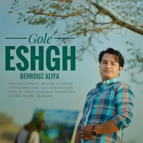 دانلود آهنگ گل عشق بهروز آلیا